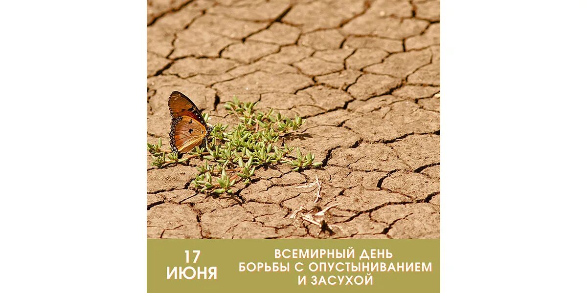 День борьбы с опустыниванием и засухой. 17 июня всемирный день. 17 июня день борьбы с опустыниванием и засухой. Засуха пиксабай. Всемирный день по борьбе с опустыниванием и засухой.