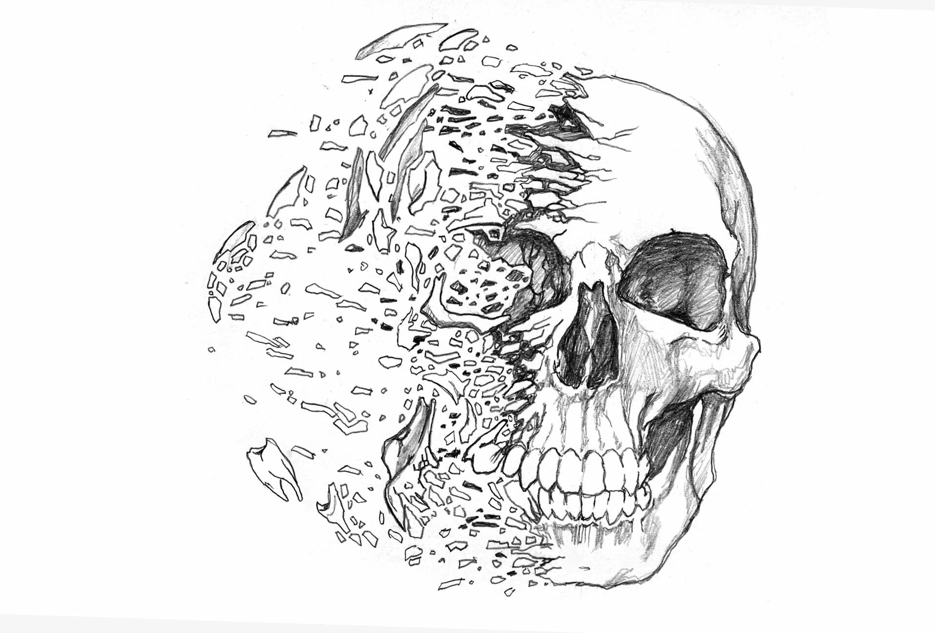 Череп разрыв. Зарисовки черепа. Стилизованные черепа. Череп набросок. Череп эскиз.