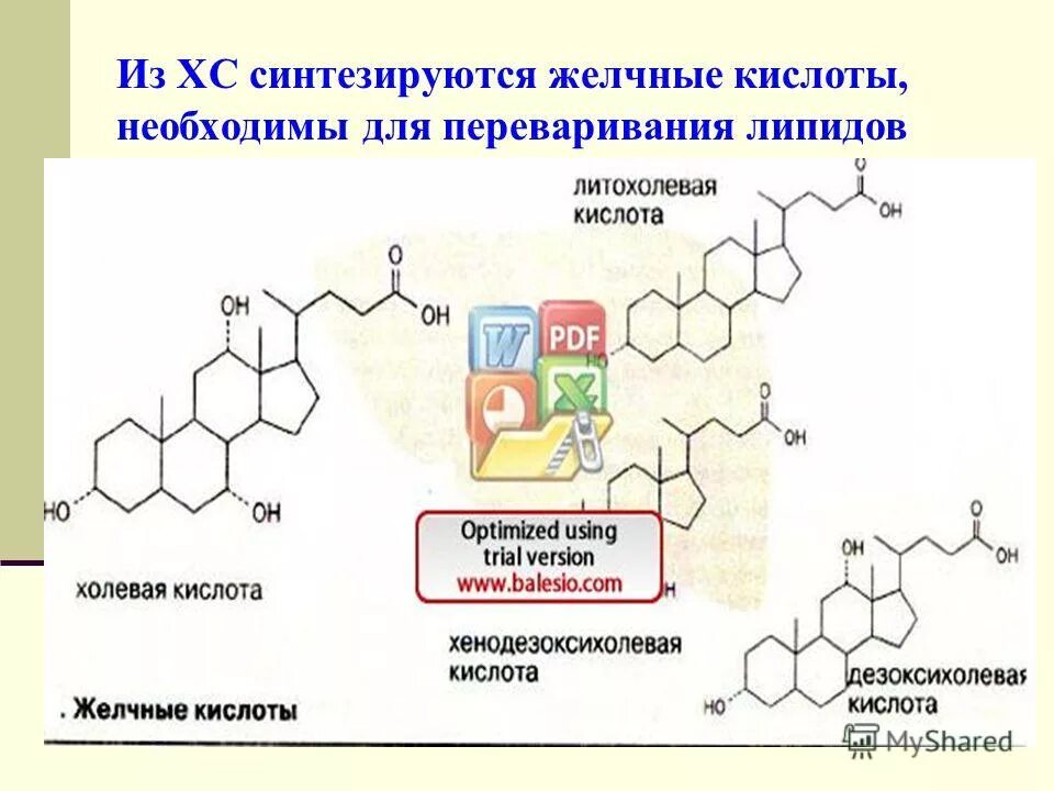 Вторичные желчные кислоты