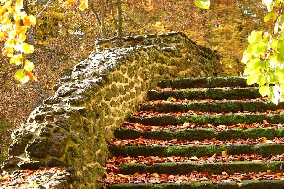 Wall fall. Каменные ступеньки. Каменная лестница. Каменная лестница в парке. Лестница в парке.