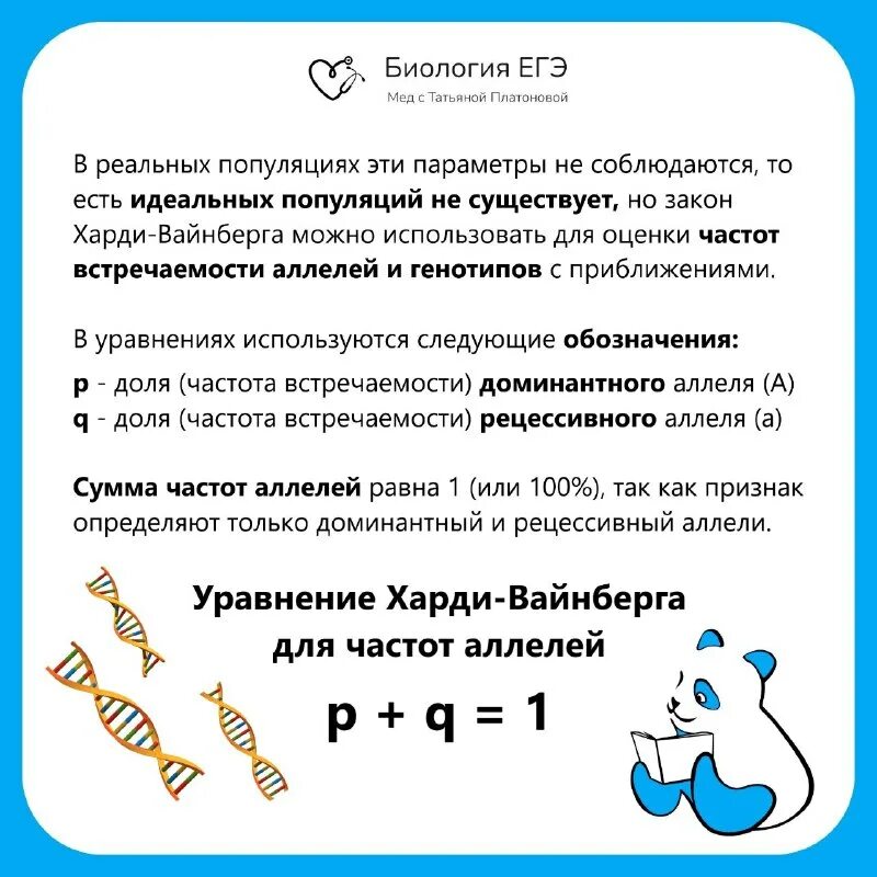 закон харди вайнберга егэ 2024. задачи по генетике закон харди вайнберга. закон харди вайнберга егэ 2024. решение задач на закон харди-вайнберга с решением. задачи по закону харди-вайнберга с решением.