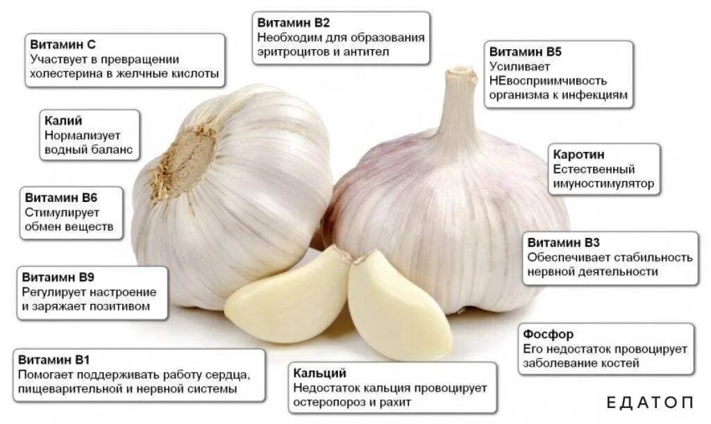 Лук после чеснока можно. Чем полезен чеснок. Полезные свойства чеснока. Чем полезен чеснок для организма. Полезен чеснок для.организма.