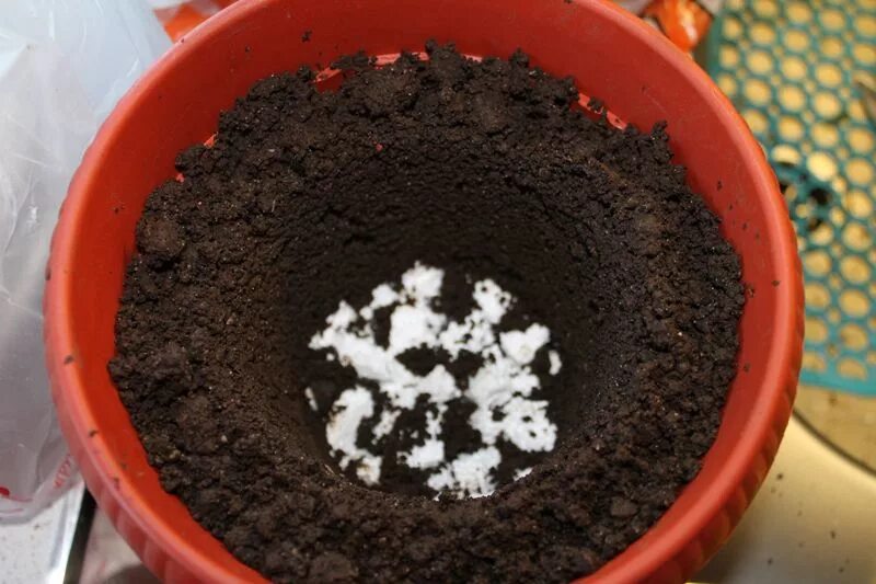 Почва в горшке. Грунт для фуксии. Горшок с землей. Подготовка грунта для цветов в горшках.