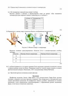 Естествознание 5 класс сор 1