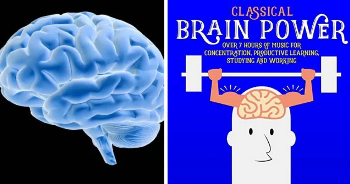 Brains mp3. Brain Power. Переводчик Power Brain. Brain Power трики. Classical Music for Brain Power альбом.