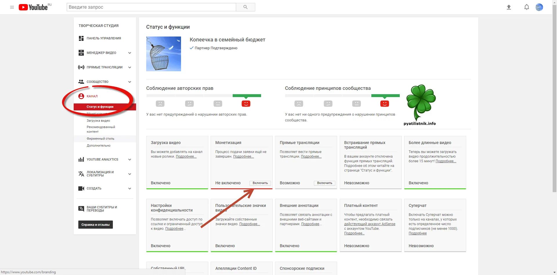 Есть ли монетизация в ютубе в россии. Ютуб подключить монетизацию. Монетизация подключена ютуб. Функции ютуба. Youtube функции.