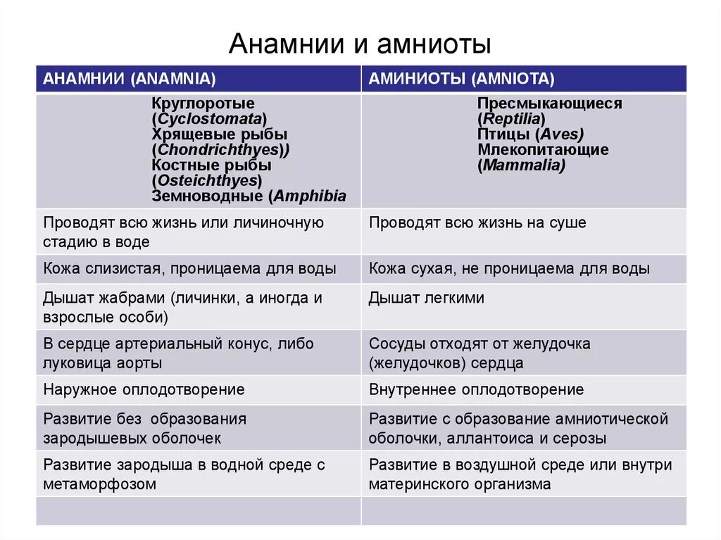 Различия классов позвоночных животных. Анамнии и амниоты сравнение таблица. Анамнии и амниоты. Амниоты и анамнии сходства и различия. Сравнительная характеристика анамний и амниот таблица.