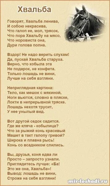 Конь минус и текст. Стихотворение про лошадку. Стих про коня. Конь слова. Смешные стихи про лошадь.