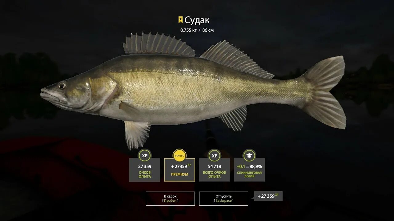 Русская рыбалка 4 клевые. Троф рр4. Рр4 вес трофейных рыб. Russian Fishing 4 трофеи. Рр4 жерех.