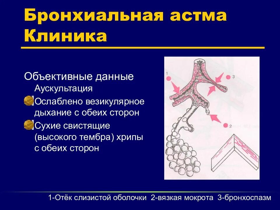 Мокрота хрипы при дыхании