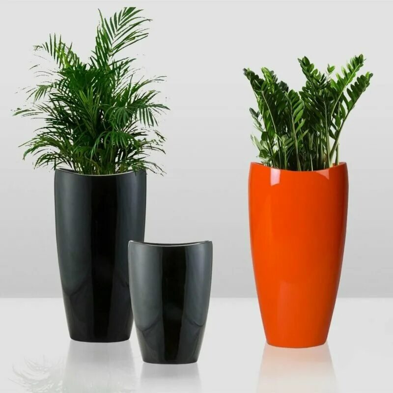 комнатные растения. горшок цветочный, арт. какие горшки для цветов лучше. цветок в горшке. напольный цветочный горшок.