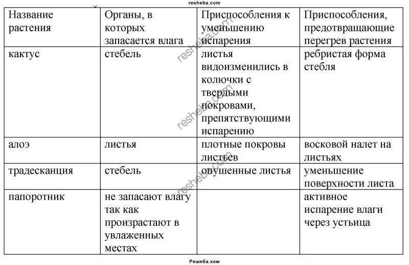 Органы растений в которых запасается влага. Органы в которых запасается влага у кактуса. Название растения органы в которых запасается влага. Заполните таблицу органы в которых запасается влага.