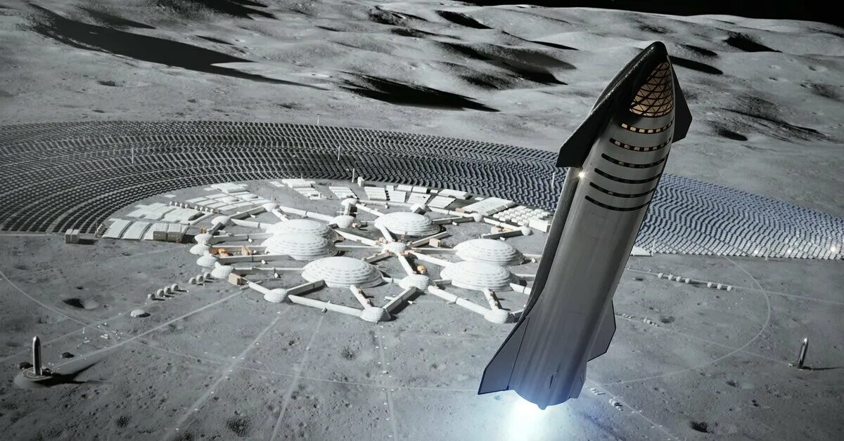 Планировавшемся полетом. Планирующий полет птицы. Вингсьют проксимити. Есть перелёты из екатеринбурга в египет. Самолет на земле.