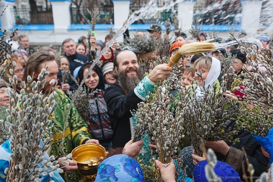 После вербного воскресения. Верба на Вербное воскресенье. Верба Церковь Вербное Воскресение. С Вербным воскресеньем.