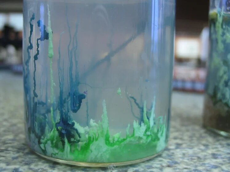 Водоросли эксперименты. Химические водоросли опыт. Силикатные водоросли. Химический сад опыт. Опыт с водорослями.