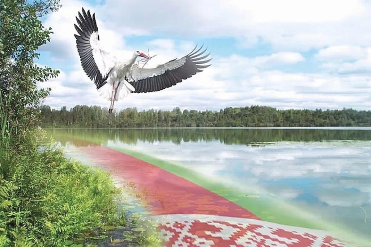 Сипнет беларусь. Беларусь природа. моя беларусь. белорусский пейзаж.