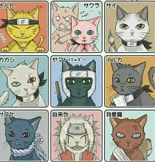 Код в виде кота