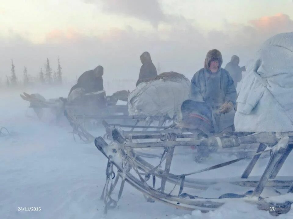 Во время пурги. Метель в тундре. Пурга на севере. Вьюга на севере. Пурга в тундре.