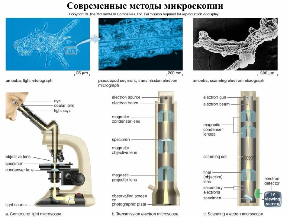 Метод исследования осадков. Методы микроскопии. методы микроскопии таблица. современные методы микроскопических исследований. специальные методы микроскопии.