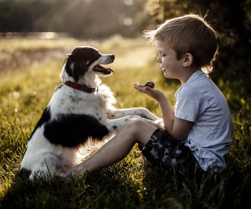 Доброта картинки. Дети и животные доброта. Доброта картинки. Для детей. Девочка с котятами.