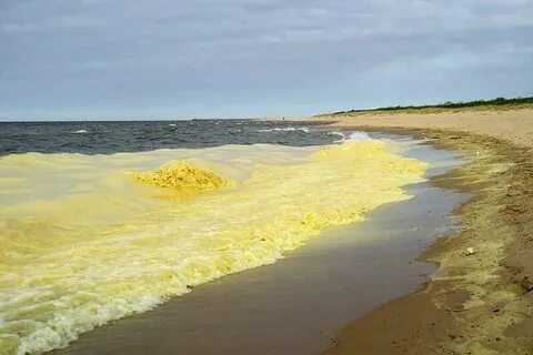 Как называется желтое море