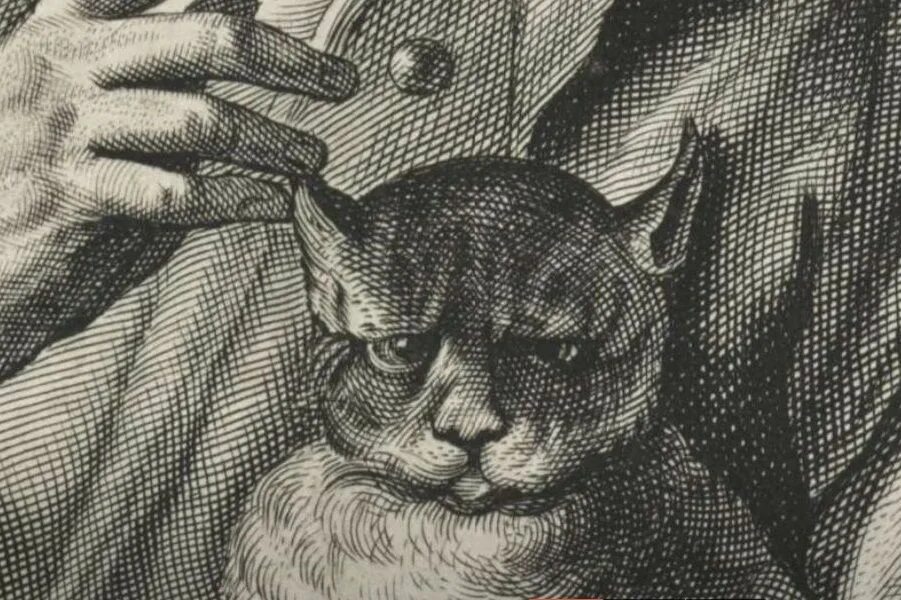 Кошка гравюра. Гравюра для детей. Гравюра котик. Гравюры с котами. Офорт кот.