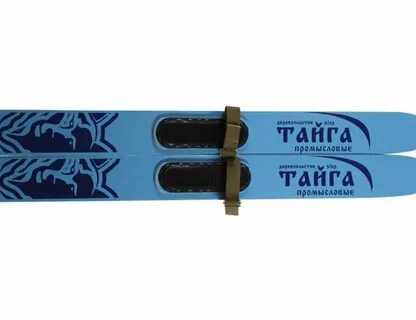 Лыжи тайга
