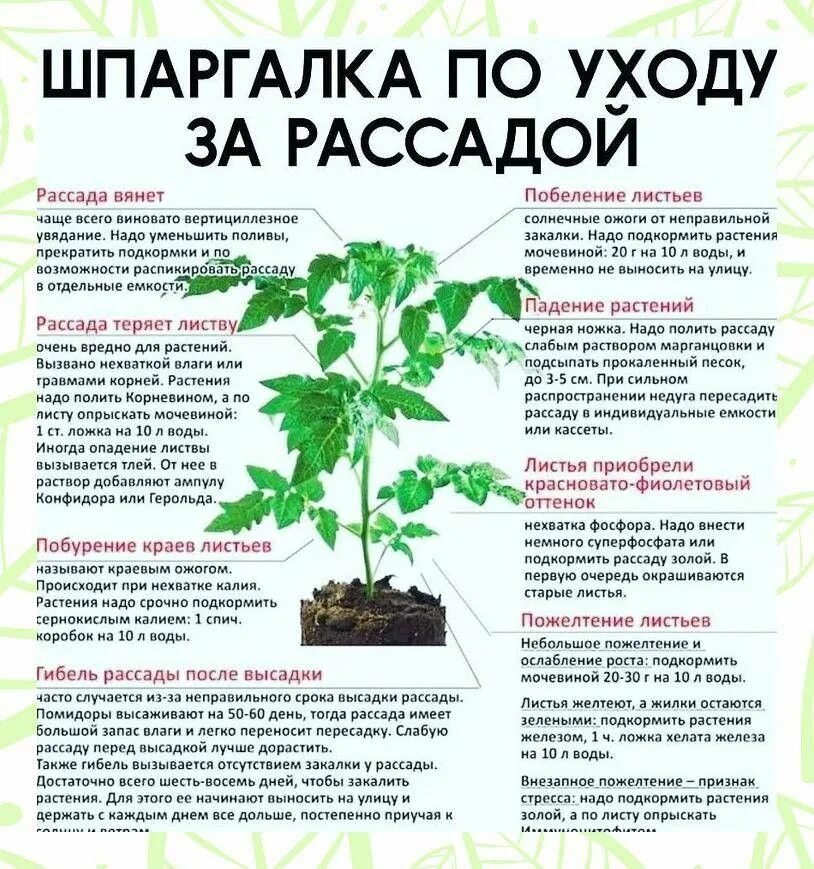 Томаты калий по листу