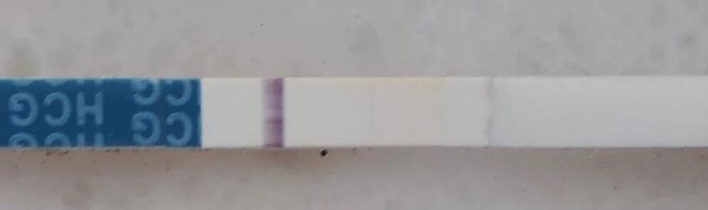 Контрольная полоска бледнее тестовой evitest. Тест тонкая полоска. Тоненькая полоска на тесте. Тонкая полоска на тесте на беременность. Тонкая вторая полоска.