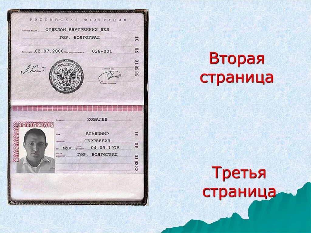 81 гражданин рф