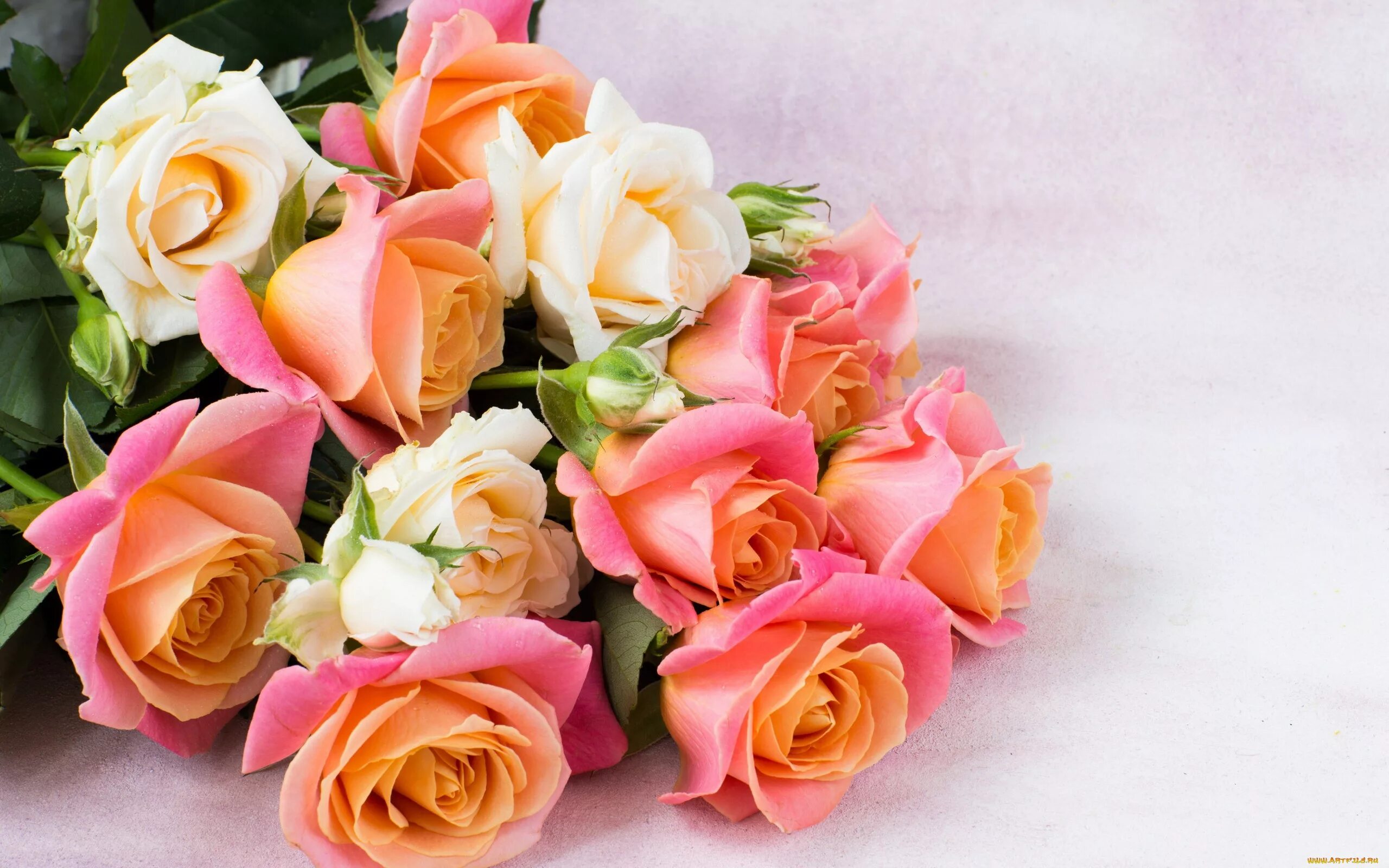 Цветы для лены. С днем рождения. С днём рождения Леночка. Букет роз с днем рождения. Поздравляем с днем рождения цветы.