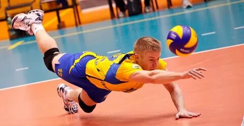 Волейбол это какой вид спорта