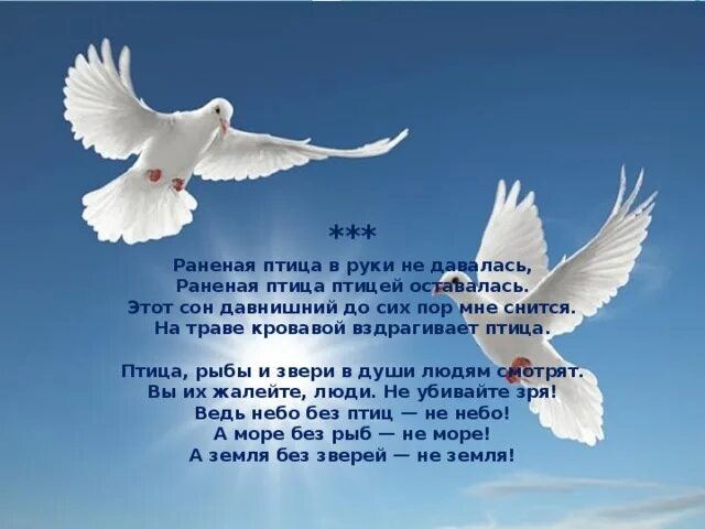Заболоцкий птицы. Слова песни раненая птица. Слова песни раненая птица. Просьба раненая птица. Раненая птица текст.
