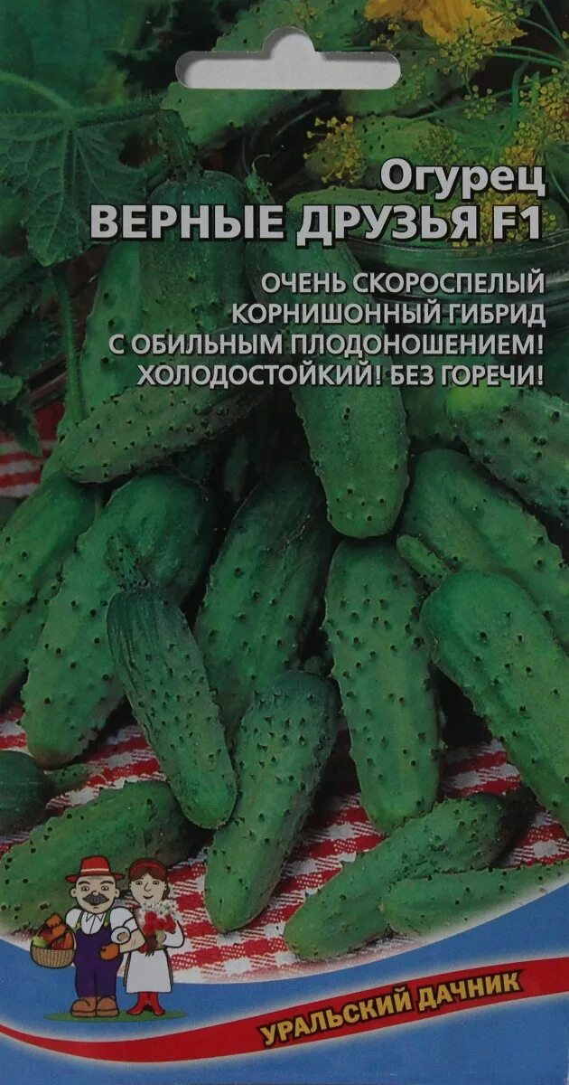 огурец уральский корнишон уральский дачник. семена огурцов уральский дачник премиум. семена уральский дачник. семена огурцов уральский дачник. семена огурцов уральский дачник.