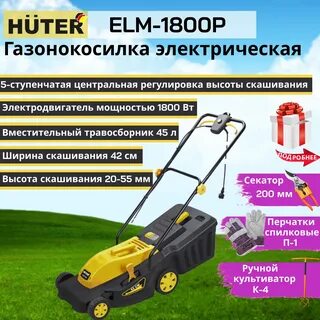 Huter elm 1800