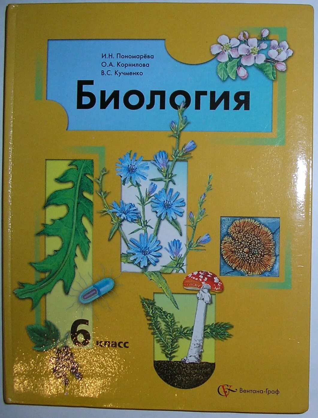 Биология 6 класс пономарева 22. Биология 6 класс учебник Пономарева Корнилова. Биология 6 Пономарева Кучменко Корнилова учебник. Учебник по биологии 6 класс Пономарева. Книга биология 6 класс Пономарева.