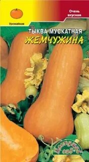Тыква мускатная отзывы