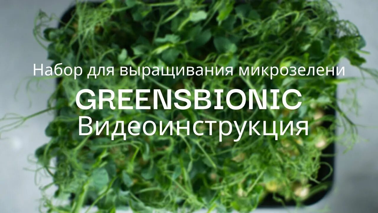 Инструкция по выращиванию микрозелени. Удобрение микробионик для микрозелени. набор для выращивания микрозелени. микрозелень на джутовом коврике.