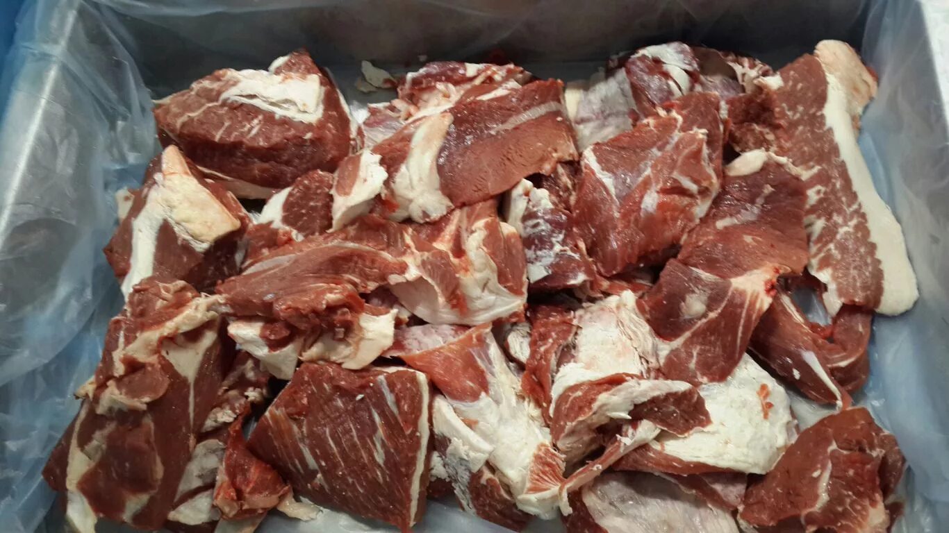 крупнорогатый скот для мяса ледачие. мясо быков и волов – лучшее сырье для производства:. некондиция продуктов для животных. корейка окорок лопатка. авито орловская область мясо.