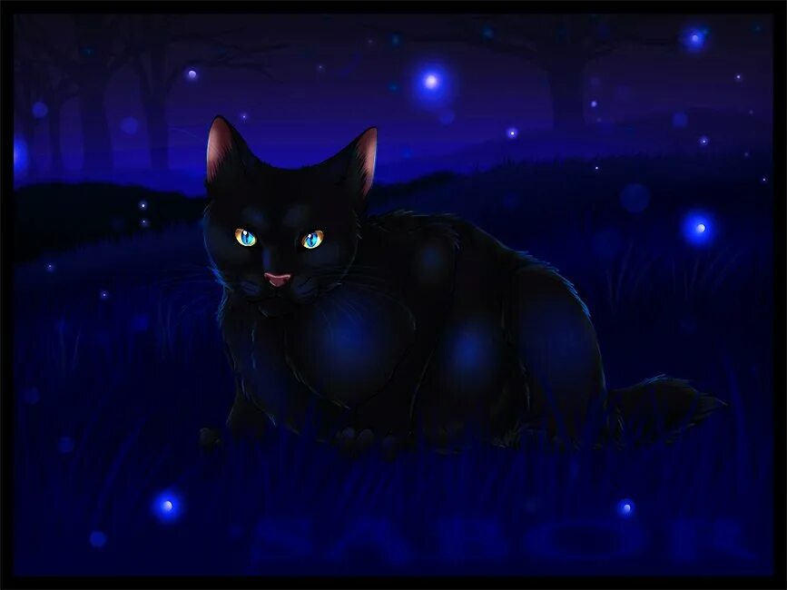 коты воители сумрачная звезда. коты воители беззвездная ночь. звёздная крылатая кошка коты воители. коты воители звёздное племя. коты воители звездные коты.
