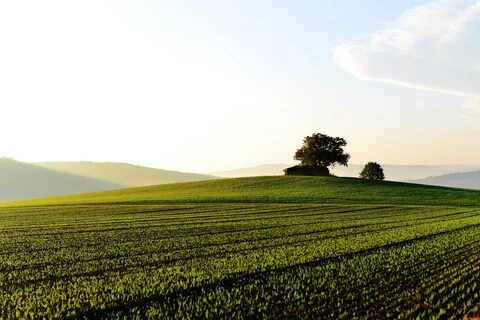 Land environment
