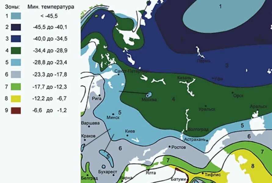 Любом климатической зоне. Зоны зимостойкости растений России на карте. 5 Зона зимостойкости. Зона зимостойкости USDA 5. Карта климатических зон России USDA.