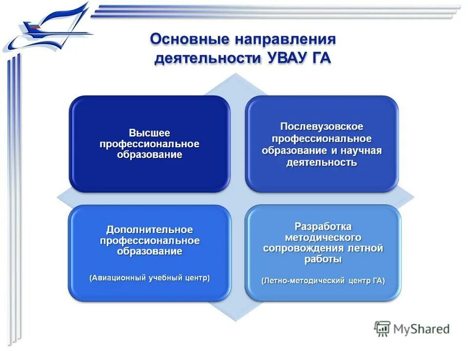Направления деятельности. Уровень образования руководителя. Соответствующего направлению деятельности. Соответствующего направлению деятельности. Соответствующего направлению деятельности.