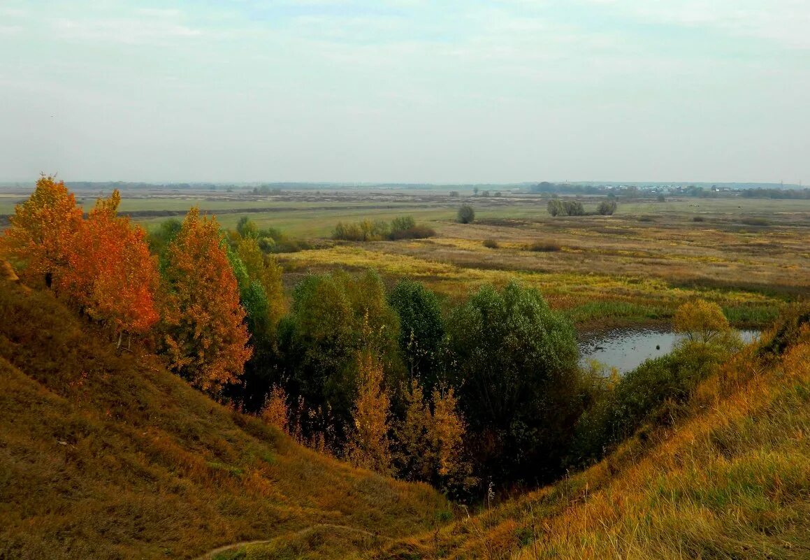 Просторы рязани. Рязанский край. Просторы Рязанщины. Осень в Рязанском крае. Рязанская природа осень.