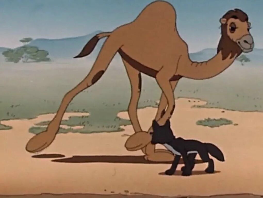 Сказка о верблюде для детей. Верблюд и лиса. Сказка про верблюда. Как называется сказка про верблюда и шакала. Как называется сказка про верблюда и шакала.