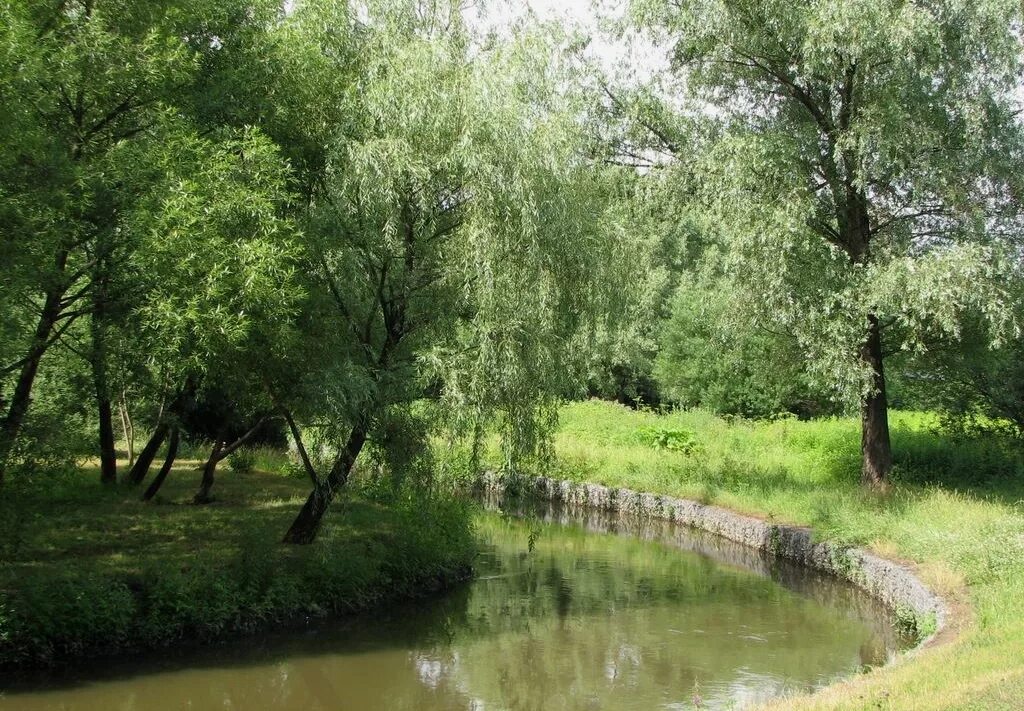 отрада отрадный. отрада москва. парк сквер в отрадном. владыкинский парк москва. отрада отрадный.