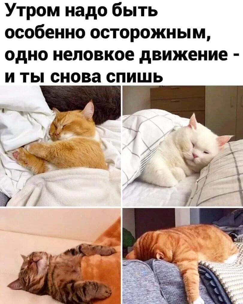 А движения неловки текст