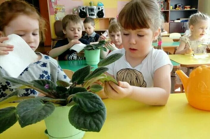 Цветовод орша. Кружок цветоводы. комнатные растения для детей 1 младшей группы. кружковая работа цветовод. цветоводы начальная школа.