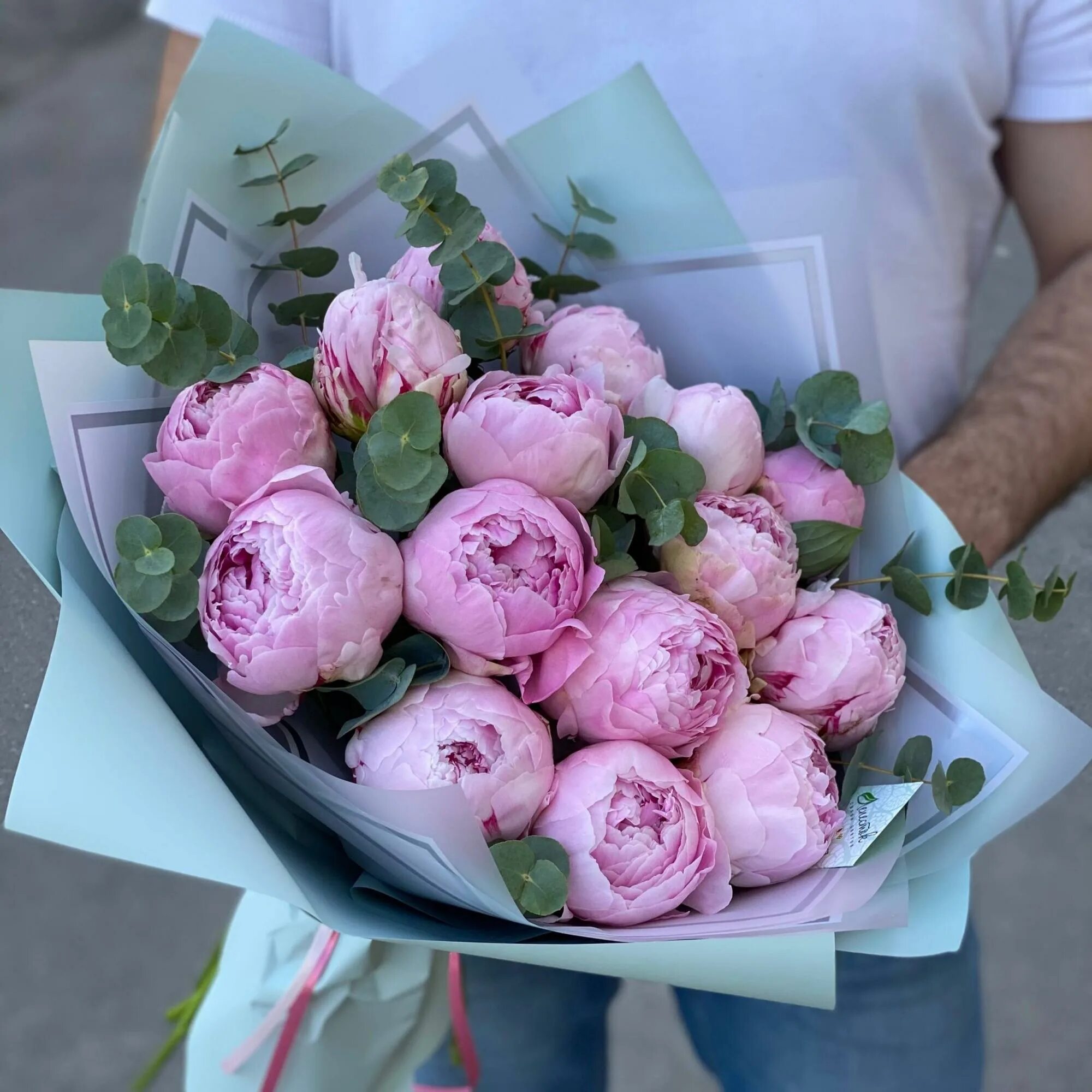 Пионы спб. 11 розовых пионов. Букет 15 пионов. Букет из пионов большой. Российские пионы.