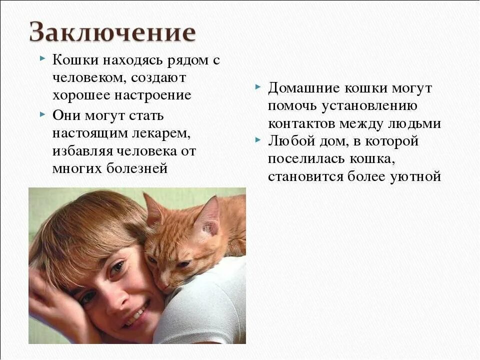 Доклад о домашнем питомце. Рассказ про кошку. сообщение о кошке. доклад о котах. презентация про кошек.